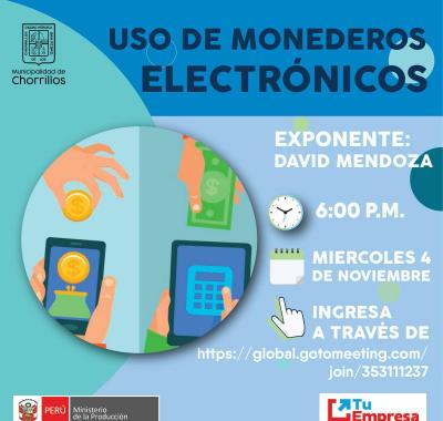 "USO DE MONEDEROS ELECTRÓNICOS"